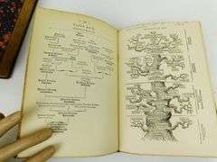 1896 Evolution of Man, 2 Volume Set