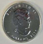 2019 Canadian Silver Maple Leaf 1 oz .9999 Fine Silver Pristine Superb Gem BU