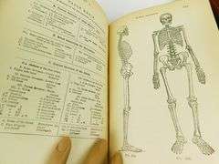 1896 Evolution of Man, 2 Volume Set