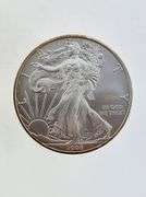 2008-W Burnished American Silver Eagle