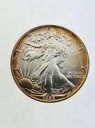 1988 American Silver Eagle, Toned
