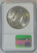 1923 Peace Silver Dollar $1 in NGC Holder MS64 Brilliant Uncirculated Strong Luster