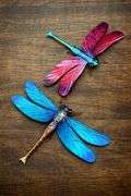 Set of 2 Metal Dragonfly Wall Art