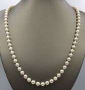 7-7.5mm Pearl Strand necklace