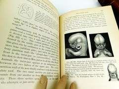 1896 Evolution of Man, 2 Volume Set