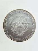 2008-W Burnished American Silver Eagle