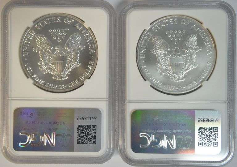 Near Flawless better 1991 & 1999 $1 Silver Eagle. NGC MS69