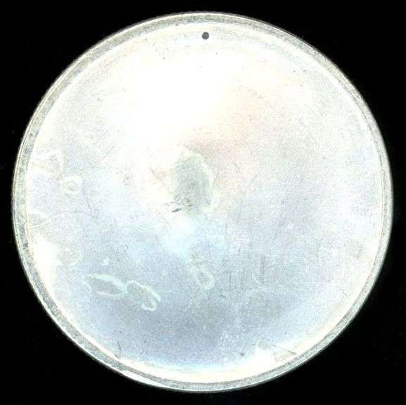 APMEX 1 Troy Ounce Silver Round
