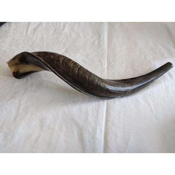 Natural Ram’s Horn Kudu Shofar Horn