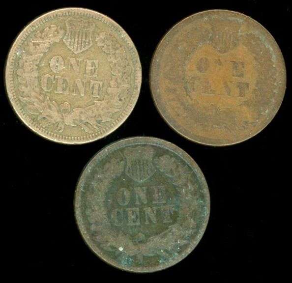 3 Different Indian Head Cents: 1863, 1865, 1876