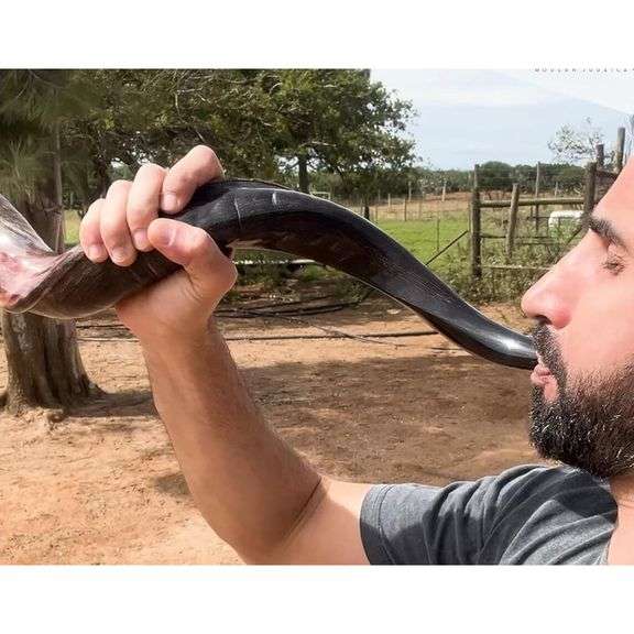 Natural Ram’s Horn Kudu Shofar Horn