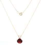 10kt Yellow gold 2.50ct Garnet pendant on chain