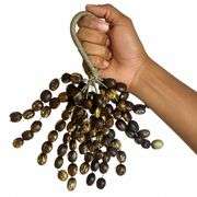 Percussion Rattle Made of Juju Chacha Pangi Pala