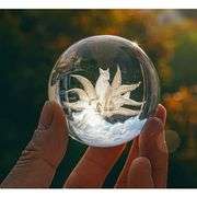 Nine-Tailed Fox Crystal Ball Paperweight with Stand