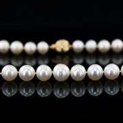 14K YELLOW GOLD MMMM WHITE SOUTH SEA PEARL NECKLACE WITH CLASP 10MM TO 12MM