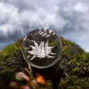 Nine-Tailed Fox Crystal Ball Paperweight with Stand