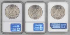Near Gem BU 1921 Morgan & 1922 & 1923 Peace Silver Dollars. NGC MS64