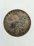 1896 Morgan Silver Dollar, Toned