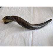 Natural Ram’s Horn Kudu Shofar Horn