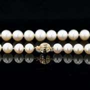 14K YELLOW GOLD MMMM WHITE SOUTH SEA PEARL NECKLACE WITH CLASP 10MM TO 12MM