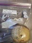 1st Year 1954 Balt Orioles Team Baseball Scarce