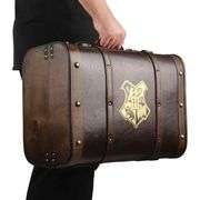 Harry Potter Hogwarts School Trunk Storage Chest