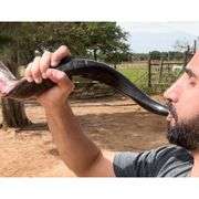 Natural Ram’s Horn Kudu Shofar Horn