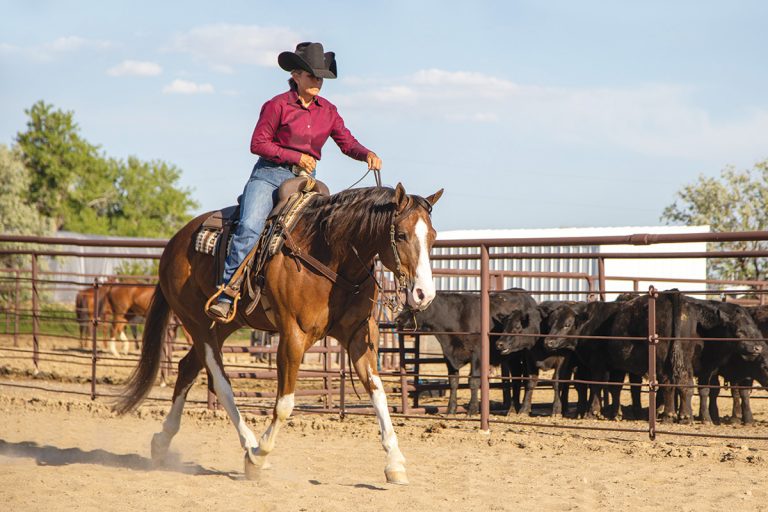 Ranch Riding Lowdown - Western Life Today