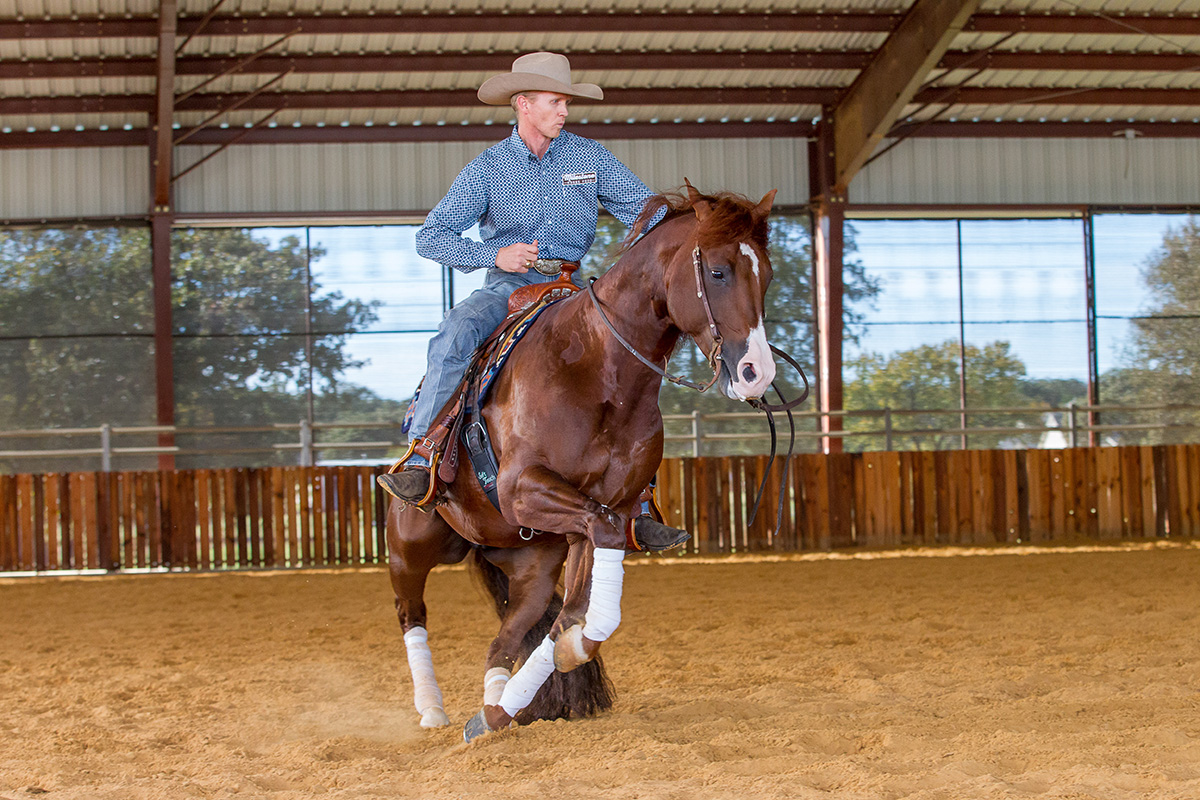 Master the Reining Rollback Western Life Today