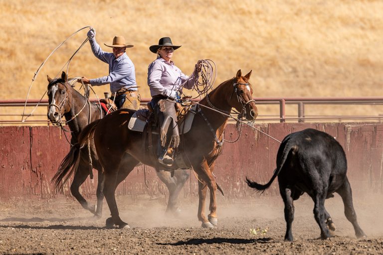 The Early Californios Skills of the Rancho - Western Life Today