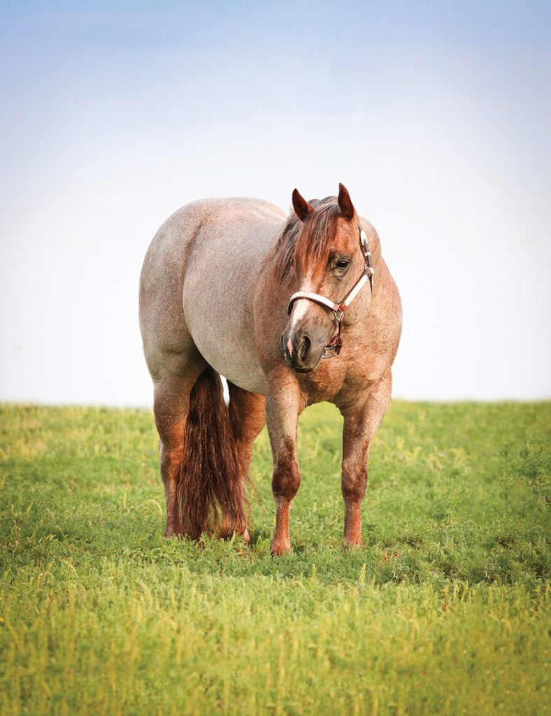 A portrait of Stevie Rey Von.