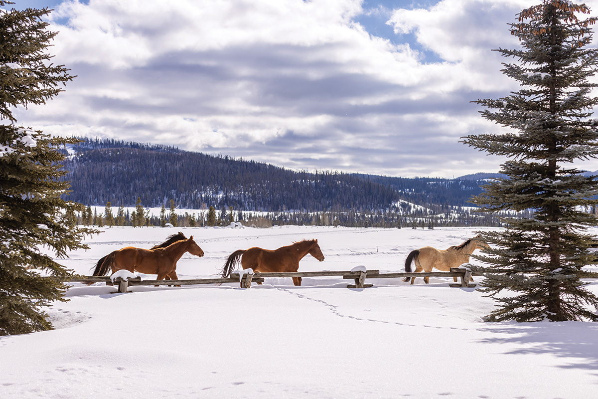 Visit the Vista Verde Guest Ranch