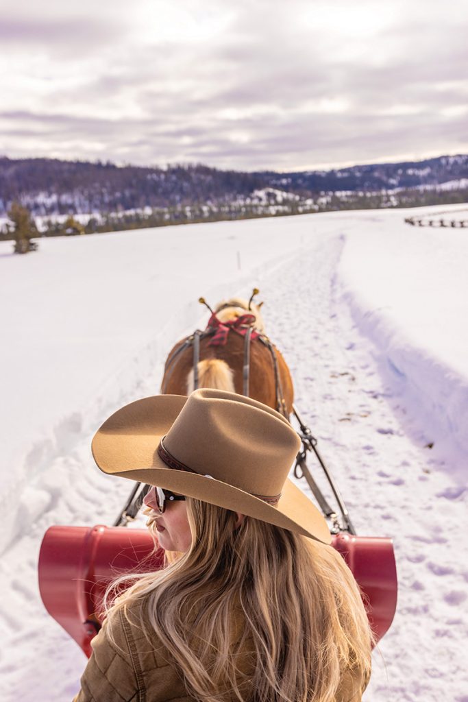 A sleigh ride in the snow.