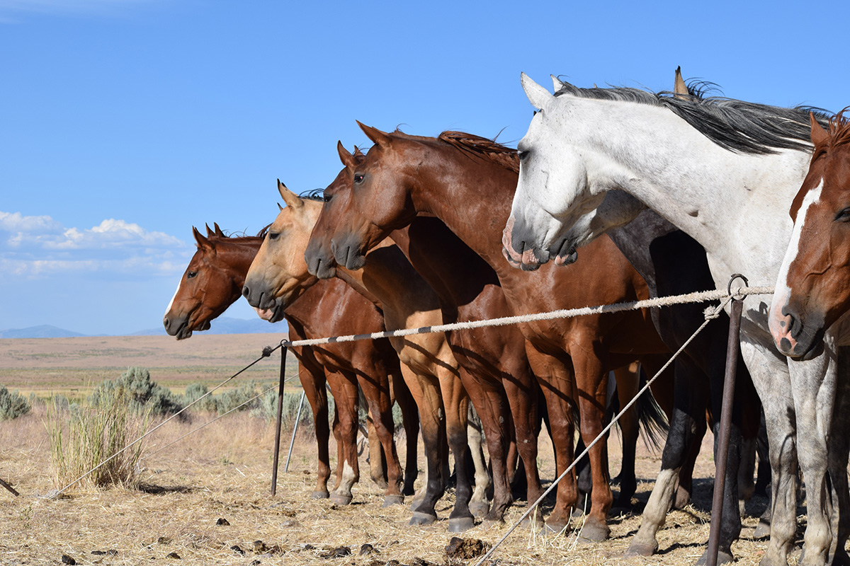 An Excerpt from Never Burn Your Moving Boxes