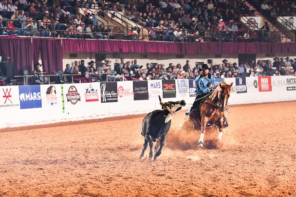 Steer stopping at the World’s Greatest Horseman.