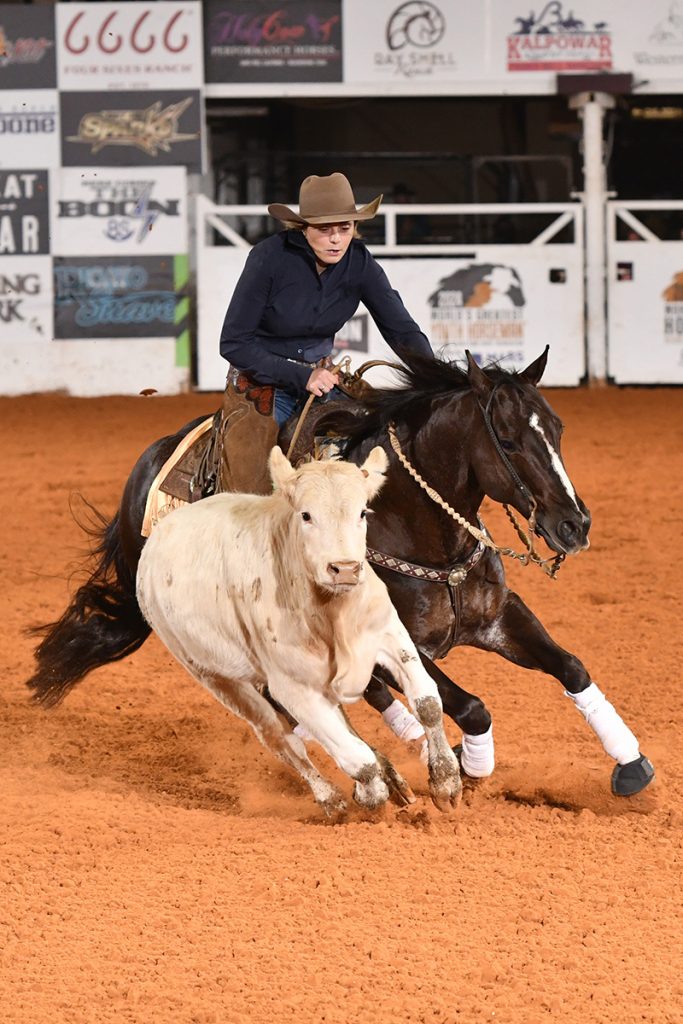 The fence work portion of World’s Greatest Horseman, showing a horse and rider working one cow on the fence and circling in the center.
