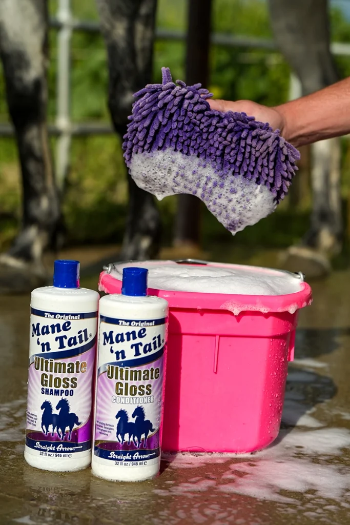 The materials needed to bathe a horse, featuring shampoo and conditioner, a bucket, and sponge.