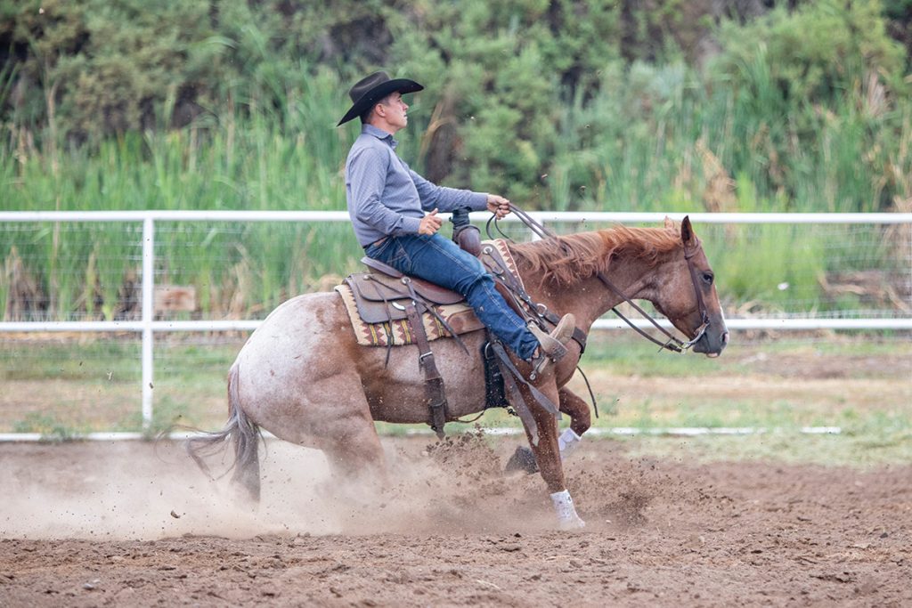 The Difference in Reining and Cow Horse Stops