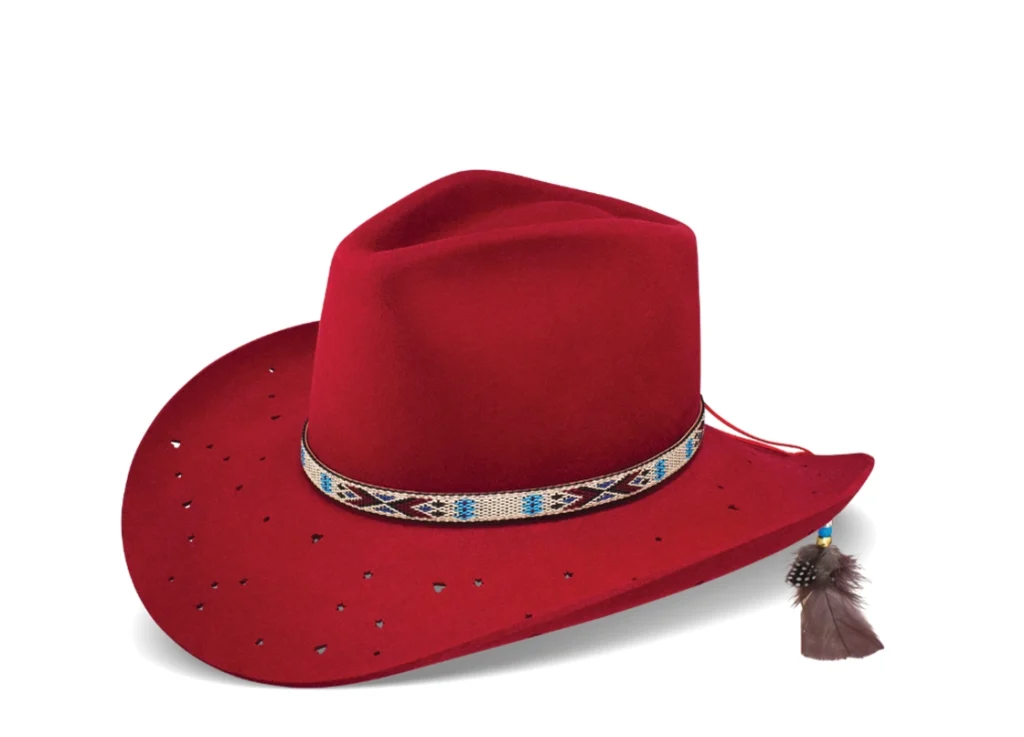 The Wild Horses Fashion Hat.