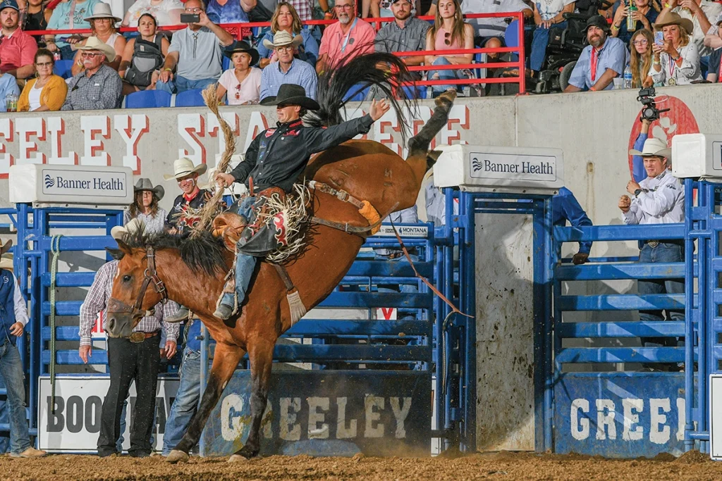 Don't Miss the Greeley Stampede