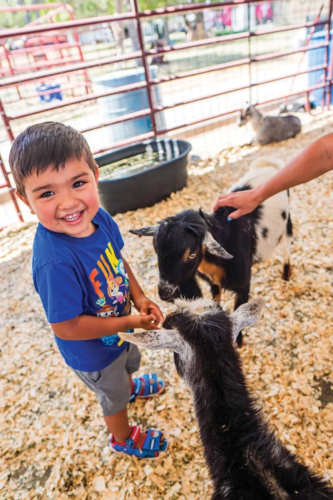 A young boy enjoys the petting zoo.
