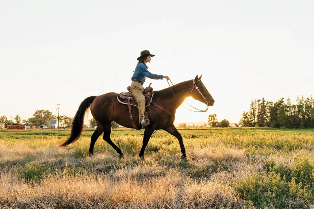 Riding in golden hour.