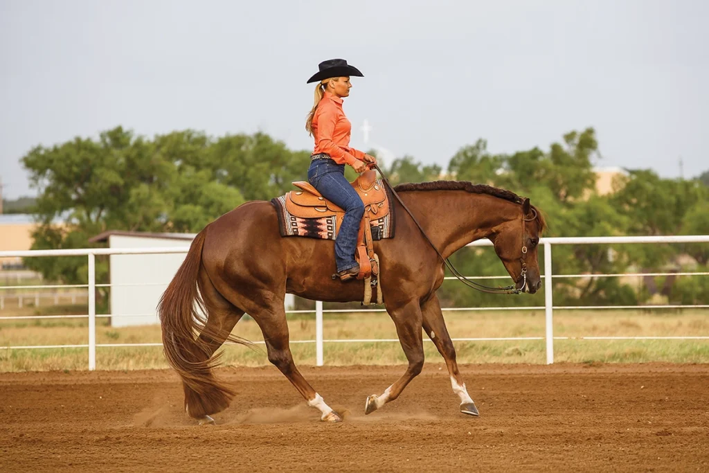 A woman loping a chestnut horse.