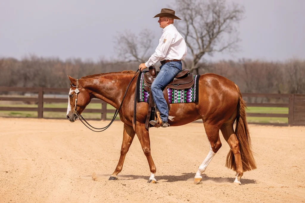A Western pleasure trainer jogging a horse.