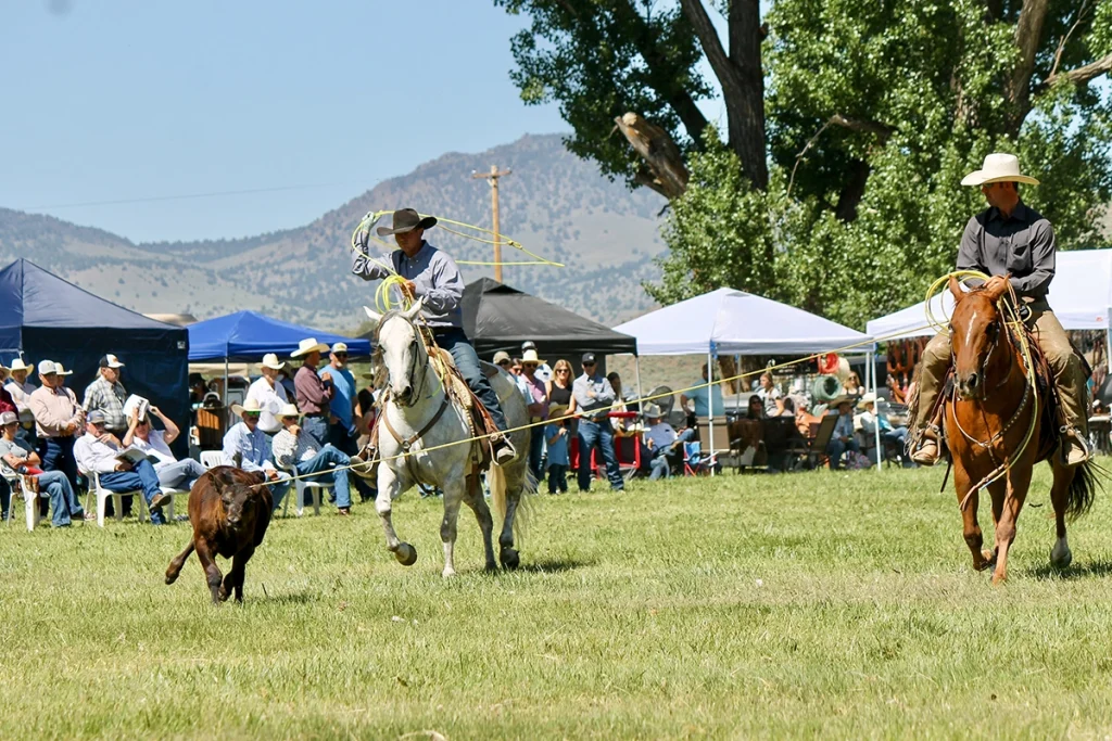 Branding at a ranch production sale.
