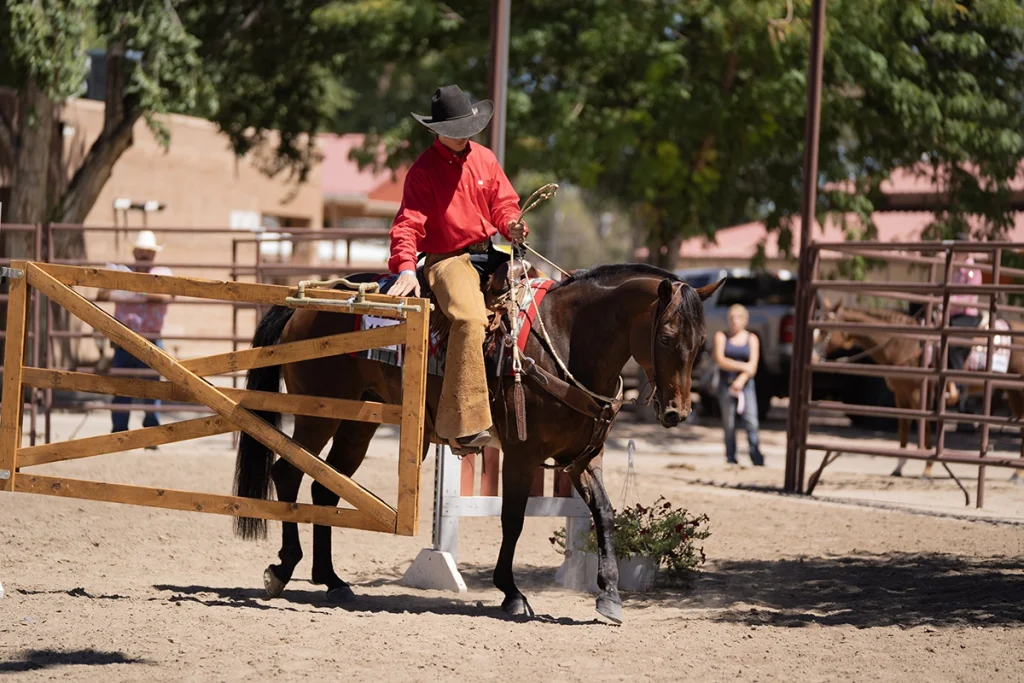 A young rider competes in a 4-H horse show.