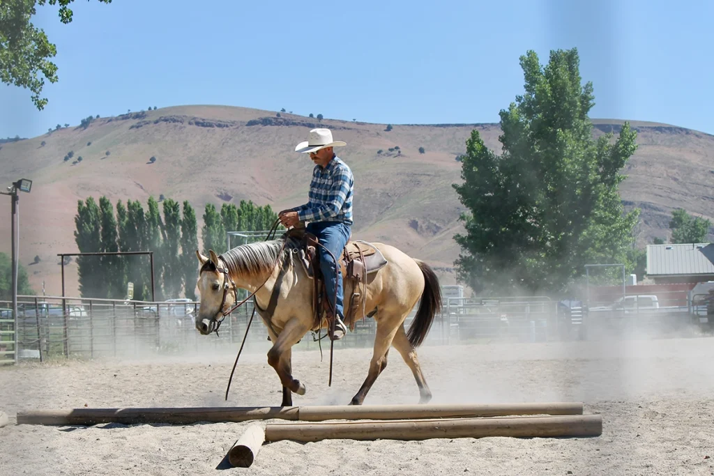 A cowboy riding a buckskin horse.