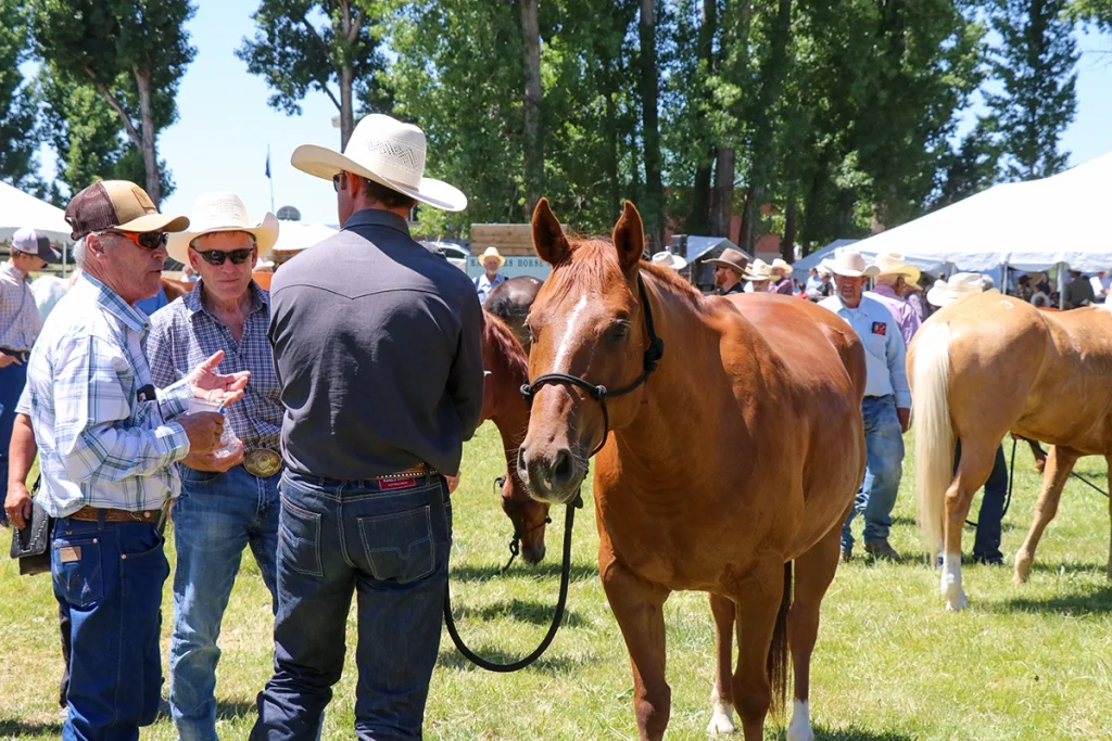 Buyers and sellers talking at a ranch production sale.