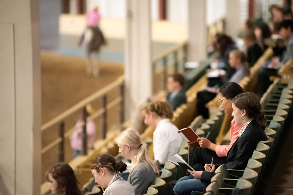A horse judging contest.