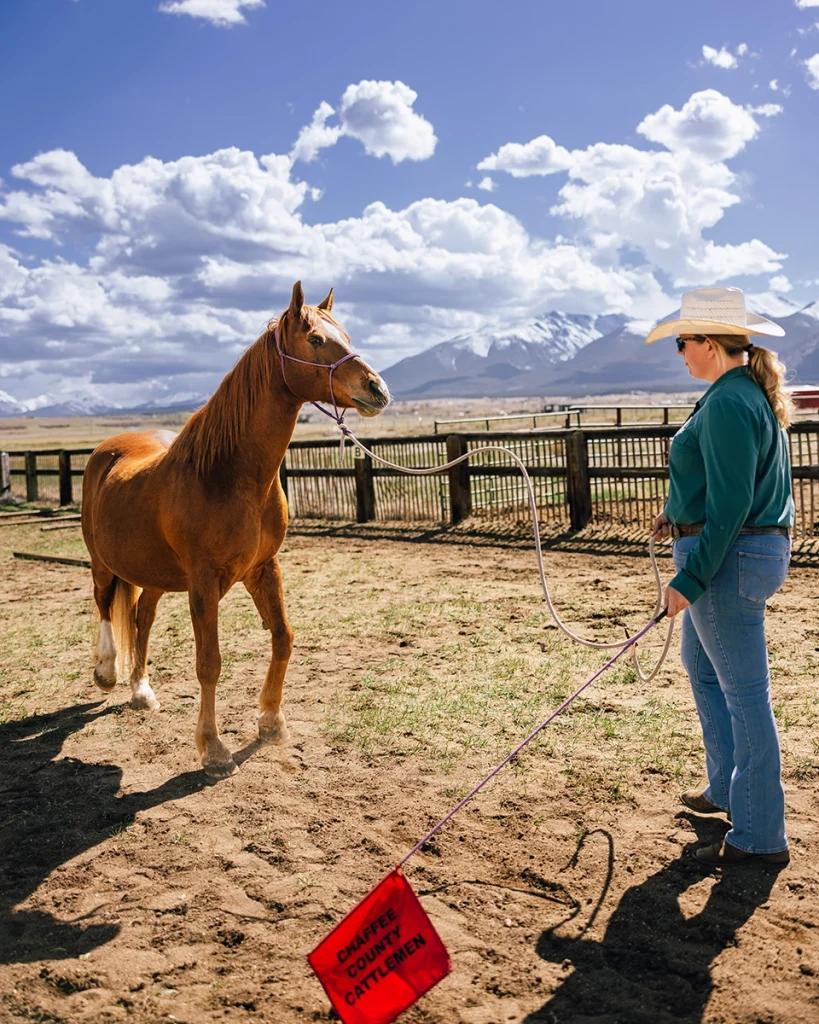 A cowgirl working with her horse.